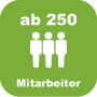 Unternehmen ab 250 Mitarbeiter